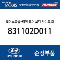 리어 도어 바디 사이드 웨더스트립(뱀띠고무) 좌측 (831102D011) 아반떼XD 현대모비스 부품몰