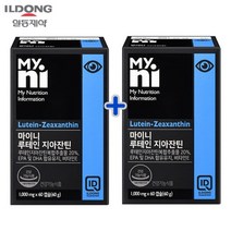 일동제약 루테인 지아잔틴 164 오메가3 빌베리 헤마토코쿠스 결명자 구기자 항산화 비타민E 황반 눈 건강 영양제 효능, 2박스 / 2개월분