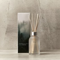 모던하우스 감성 안개낀 숲길 디퓨져 200ml AR0322013, 시더