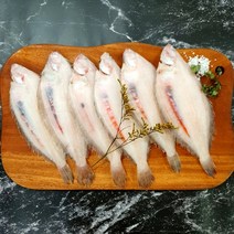부산 반건조 생선 사리가자미 국내산 구이용 조림용, 10~12미 (14~18cm/ 650g) 내외