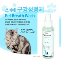 자일리톨 스프레이형 반려 구강청정제 애견치석제거, 1개