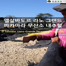 (커피생두) 엘살바도르 라노 그랜드 파카마라 무산소내추럴, 1kg