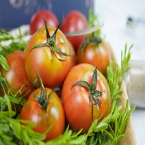 [농장직송] 부산 대저 가정용 찰 토마토 실속형 2.5kg, 1박스, 대저토마토 대과 2.5kg (가정용)