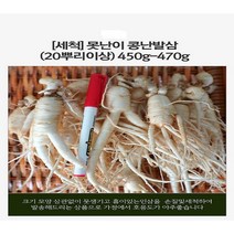 (농가100%직배송)제철햇삼 난발10뿌리내외. 쭉뻗은원수삼15뿌리이상(세척인삼선택), 450-470G(세척)500G난발파삼10뿌리내외