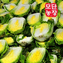 [모단농장 ]괴산절임배추 20kg/작황풍년/싱싱도보장, 11월 02일발송-03일도착