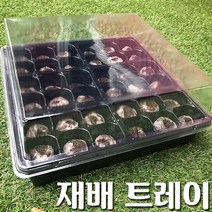 [조이가든] 씨앗재배 트레이세트