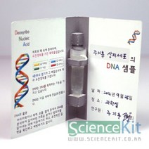 (SC) DNA추출2 동물세포(4인용), 본상품