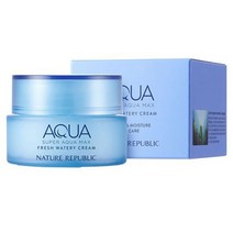 네이처리퍼블릭 슈퍼 아쿠아 맥스 프레시 지성용 수분크림, 80ml, 1개