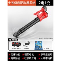 고출력 집진기 먼지 소형 습식 미니 산업용 저소음 목공용 건식 이동식 가정용 업소용, [업소용_고급]본체+배터리*2+충전기+공구함