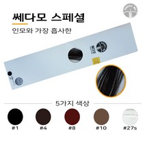 쎄다모 헤어증모가발/증모술재료, 10번)애쉬브라운, 1개