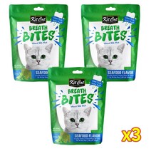 킷캣 브레쓰바이트 고양이 간식 60g, 씨푸드맛, 3개