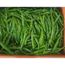 가락싱싱 국내산 청양고추 (특)400g 1kg 땡초 매운청양고추, 청양고추400g