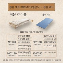 일본식 다다미 매트리스 접이식 바닥 침구 매트 학생 기숙사 단일 쿠션 맞춤형, C. 흡습성 세트   작은 잎 이불 + 흡습성 패드
