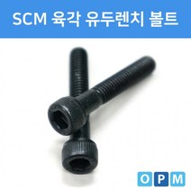 SCM 육각렌치볼트 M5x100 (4개)