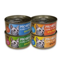 프로베스트 캣푸드 고양이 간식캔, 참치 + 치어 혼합맛, 24개입