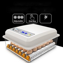 닭 사육 스마트 64pcs 완전 자동 인큐베이터 가정용 계란 육추기 농장 새 인큐베이터, 우리 플러그