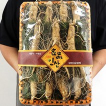 추석산삼장뇌삼산양삼 인삼재배 수삼 인삼한채, 특대수삼 한채 7-8뿌리