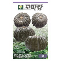 벌꿀 장호박 씨앗 30립 - 호박 호박씨 채소씨앗 야채씨앗 재배 주말 농장 텃밭 베란다, 02_다농_꼬마짱미니단호박(5립)