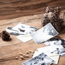 몰드몰 ( 프래그런스오일 ) 상탈 33 FO, [ 500ml ]