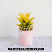 만세 선인장 가장 많이 찾는 데스크탑 미니 장식 식물, 라이트 레드 화분 + 용설란