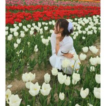 [한박자네] 핸드메이드 쉬폰 왕리본 바나나핀 셀프웨딩