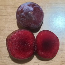 같이가치농원 자두나무 피자두 R3 전후 분 결실주