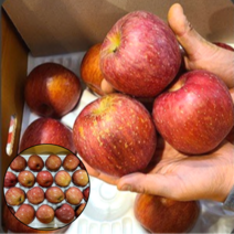 경북 꿀 부사 사과 알뜰용 흠집사과 못난이사과 가정용 일반용, 꼬마과 (25-28과 5kg)