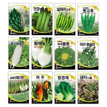 오이씨앗 아삭한 주렁주렁 미니 청스낵오이 노각 백다다기 종자 씨앗몰 봄 재배 키우기 심기 텃밭가꾸기 웰빙 쌈채소 궁채나물 줄기상추 씨앗, 참깨 3000립(수지참깨)