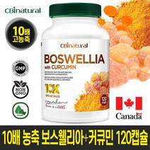 10배 농축 보스웰리아+커큐민 500mg 120캡슐/캐나다 생산, 1개, 120
