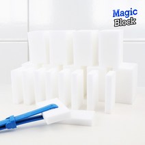 라이펀 독일 BASF 매직블럭 60p+블럭집게1개, 60p