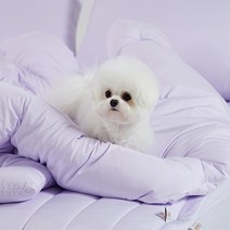 반려동물 알러지케어 나란히 베개커버, 라벤더