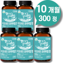 장용성 순도95%이상 락토페린 다이어트 뱃살식약청인증 스키니랩 식약처 해썹인증 락토페린 300mg + 구매자 전원 종근당 사은품 증정., 락토페린 300정 10개월