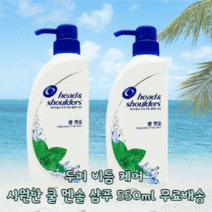 헤드앤숄더 시원한 여름 두피 비듬 케어 쿨 멘솔 박하 쿨링 지루성 두피염 두피 가려움 지성두피 샴푸 550ml, 2개