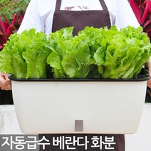 자동급수 텃밭재배기 - 베란다텃밭 텃밭상자 화분 플라스틱화분 베란다 텃밭 게으른 자동 물주기 재배기 채소, 01_Sein_자동급수 베란다화분(중형)