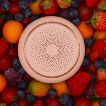 냉장고 냄새 제거 기계 소독 살균 방향제 제습제 탈취제 정화 기능 김치 탈취기 스마트 향균, 단품