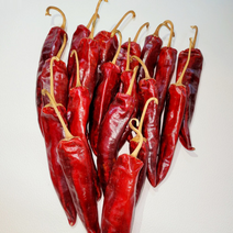 태현농수산 21년 태양초 반태양초 세척건고추 마른고추 양근 반양근 600g 1근, 세척 반태양초