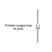 미니트로피 우승 축구 테니스 메달 데스크탑 장식품 축구 3D 금속 미니 트로피 키 체인 팬 기념 선물 가방, 10 10