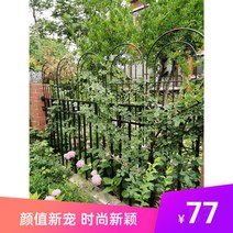 대형 아이비 장미 넝쿨지지대 철제스탠드 울타리 아치형 넝쿨지주대 정원 소풍, 중등, 화이트1종(가로50높이200)현물