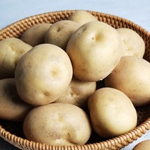 23년 국내산 햇 감자 중 5kg