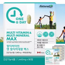 라이즈 어데이 멀티비타민 앤 멀티미네랄 맥스 멀티비타민추천 멀티비타민미네랄 올인원영양제