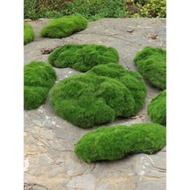 인조바위 이끼석 돌 정원 카페 조경 인테리어 소품, K, 1개
