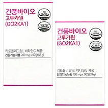 건풍바이오 고투카원 (GO2KA1) 90정, 2개