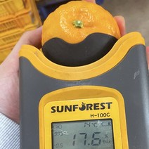 신비향 수라향10kg 설국향 17브릭스초고당도 제주직송