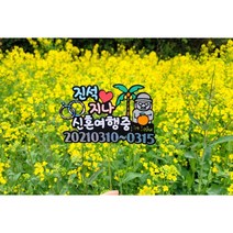 [해밀토퍼] 제주도 신혼여행 토퍼, 미부착