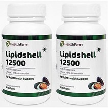 HEALTHFARM 헬스팜 리피드쉘 12500 초록입홍합 with 글루코사민 오메가3 60소프트젤캡슐 2팩