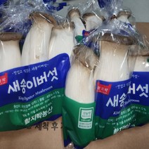 국내산 무농약 새송이버섯 국내산 400g 3팩 5팩