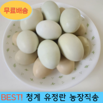 친환경 무항생제 자연방사 청란 청계란 유정란 농장직송 천상의컬렉션, 청란 40구