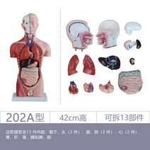 피규어, 유형 202A / 높이 42cm