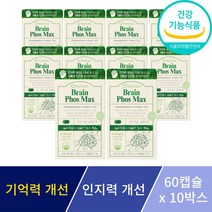 포스파티딜세린 징코 기억력 인지력 개선 은행잎추출물 뇌 두뇌 영양제 수험생 부모님 선물 사은품 증정, 10박스