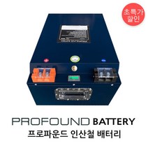 프로파운드 캠핑카 차박용 배터리 국내제작 12V400A, 선택:프로파운드 배터리|선택2:12V400A